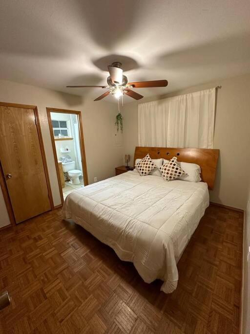 Mcallen 4Br With Pool, Shopping & More Exteriör bild