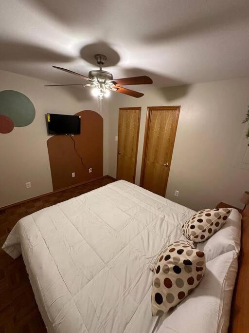Mcallen 4Br With Pool, Shopping & More Exteriör bild